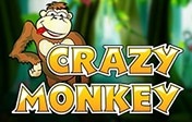 Crazy Monkey Crazy Monkey